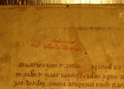cod. 11