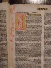 hzbg_ink_270_bl_c1a-.JPG