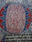 Stams_01_052v-d4.jpg