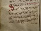 Stams_ 08_061v.jpg
