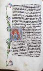 stams_ 012_12v.jpg