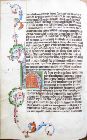 stams_ 012_52v.jpg