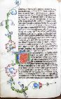 stams_ 012_56v.jpg