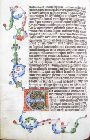 stams_ 012_58v.jpg