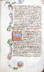 stams_ 012_86v.jpg
