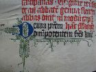 Stams_18_006v--vd.jpg