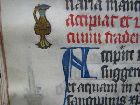 Stams_18_015v.jpg