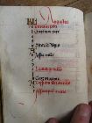 Stams_ 44_0-16_VIIIv.jpg