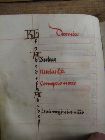 Stams_ 44_0-24_XIIv.jpg